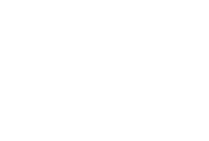 logo-blanc logo-blanc